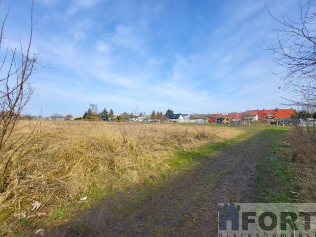 Działka Sprzedaż Koszewo 2
