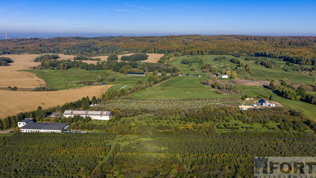 Dom Sprzedaż Binowo