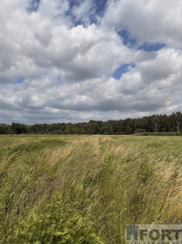 Działka Sprzedaż Niedźwiedź