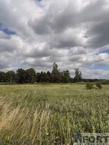 Działka Sprzedaż Niedźwiedź 8