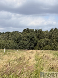 Działka Sprzedaż Niedźwiedź