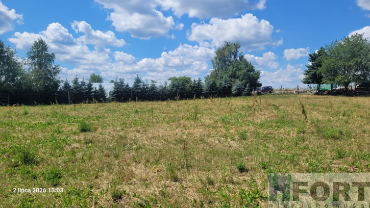 Działka Sprzedaż Wiśniewo 3