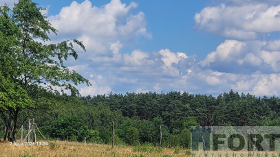 Działka Sprzedaż Wiśniewo