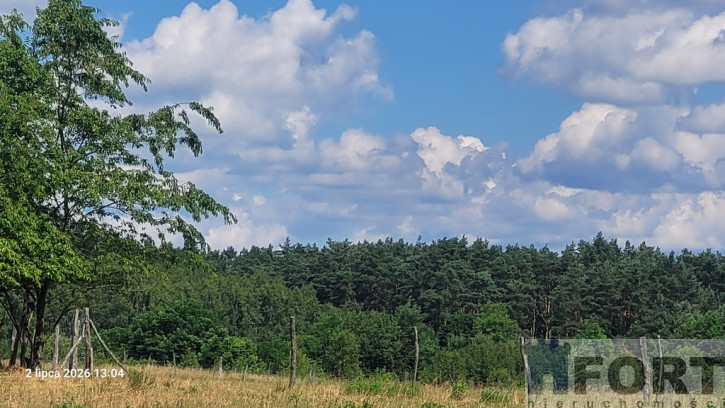 Działka Sprzedaż Wiśniewo 1