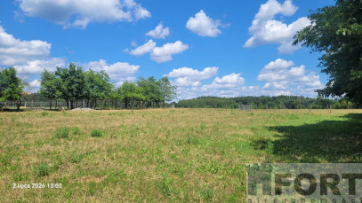 Działka Sprzedaż Wiśniewo