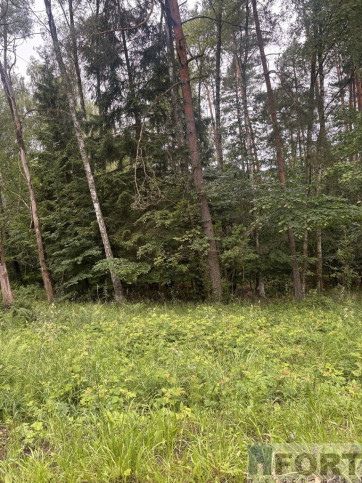 Działka Sprzedaż Piaseczno 5