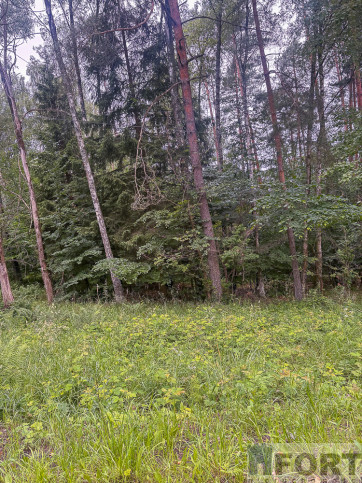 Działka Sprzedaż Piaseczno 8