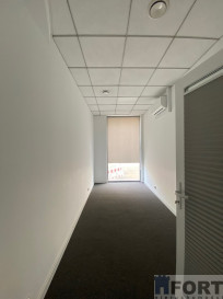 Lokal Wynajem Szczecin Centrum