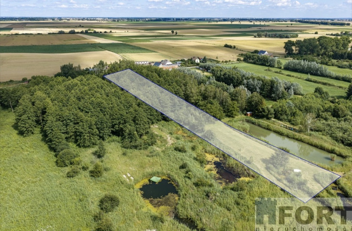 Działka Sprzedaż Wierzbno 6