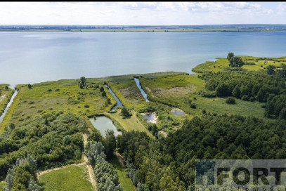 Działka Sprzedaż Wierzbno