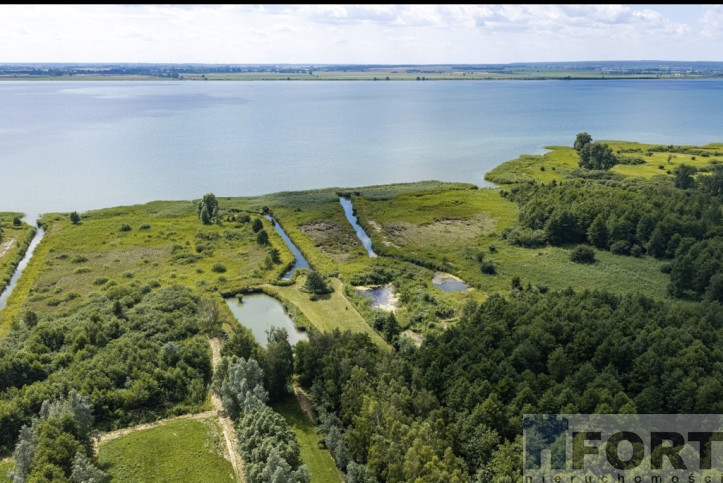 Działka Sprzedaż Wierzbno 7