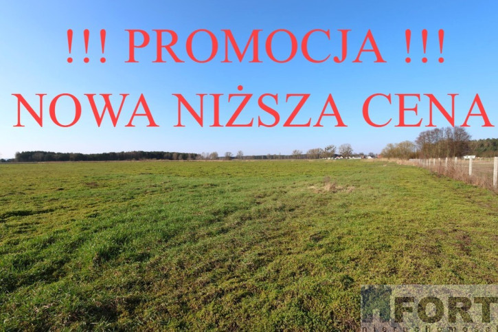 Działka Sprzedaż Lubczyna 1