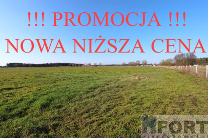 Działka Sprzedaż Lubczyna