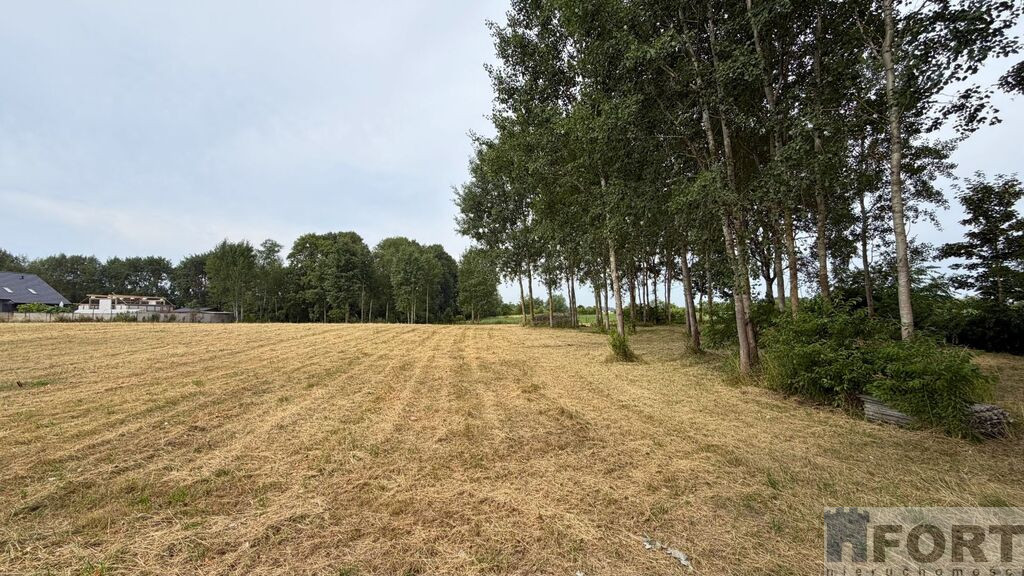 Działka Sprzedaż Marszewo