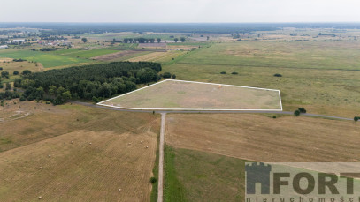 Działka Sprzedaż Lubczyna
