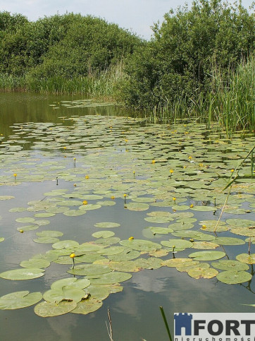 Działka Sprzedaż Giżyn 3