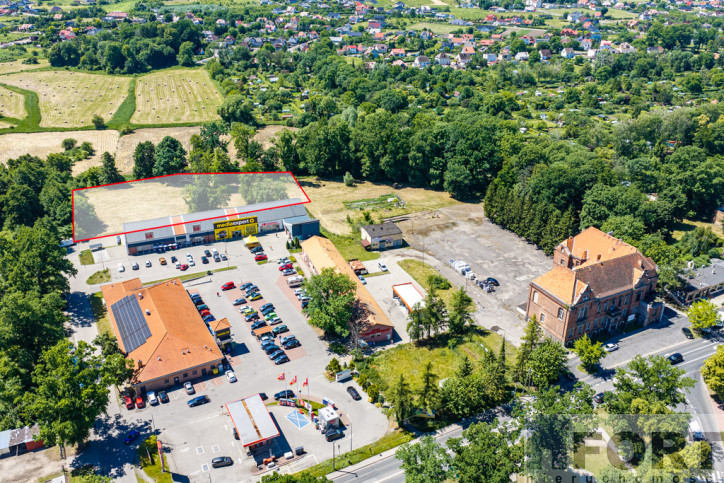 Działka Sprzedaż Chojna 1