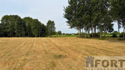 Działka Sprzedaż Marszewo