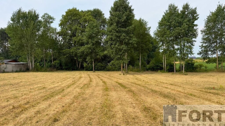 Działka Sprzedaż Marszewo 4