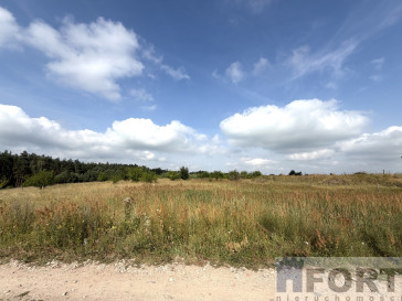 Działka Sprzedaż Daleszewo