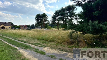 Działka Sprzedaż Modrzewie