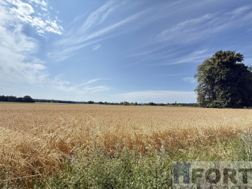 Działka Sprzedaż Oświno