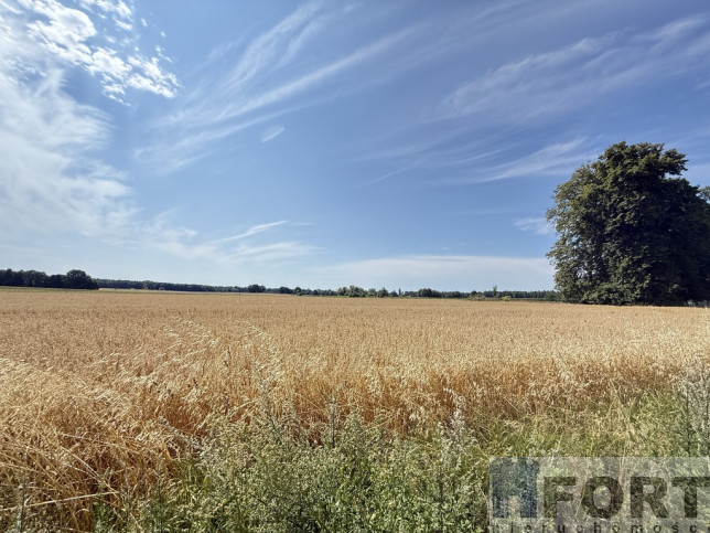 Działka Sprzedaż Oświno 18