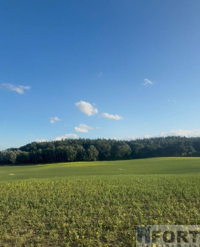 Działka Sprzedaż Buk 1