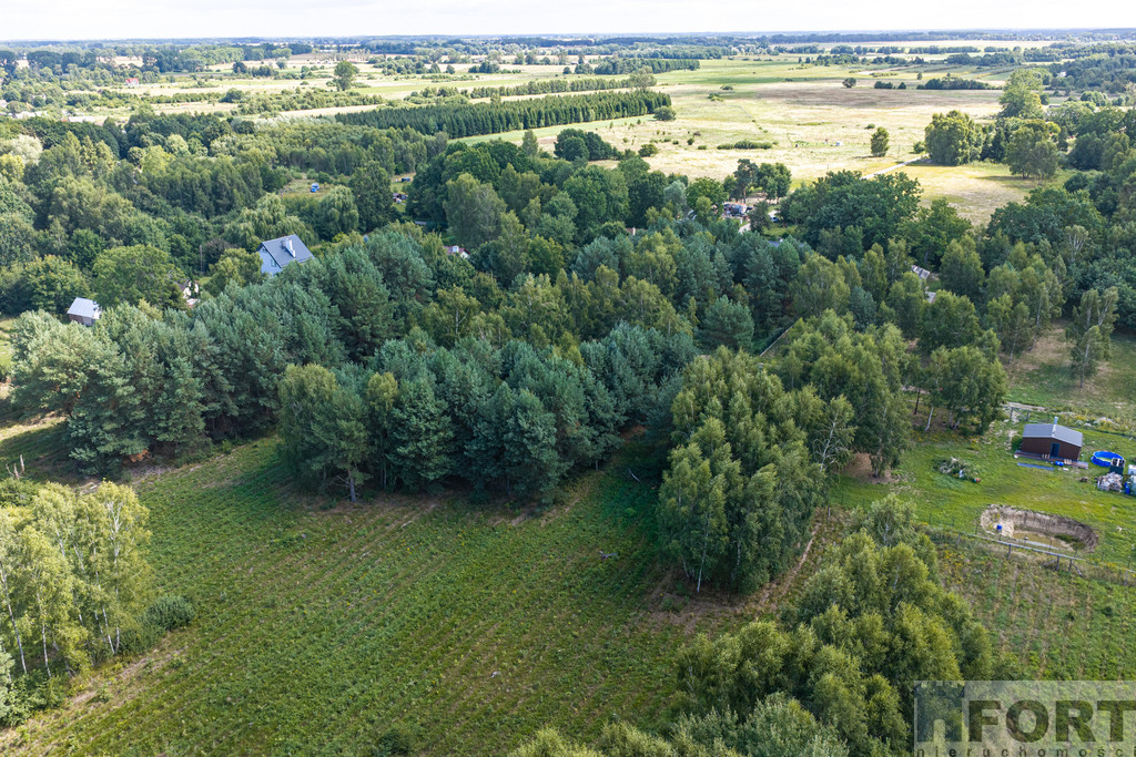 Działka Sprzedaż Ładzin