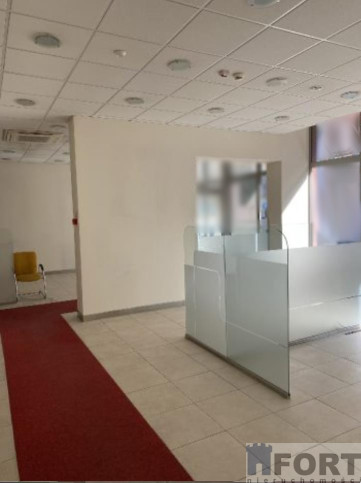 Lokal Wynajem Szczecin Centrum 2