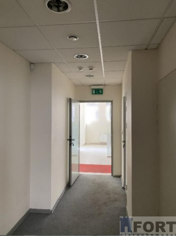 Lokal Wynajem Szczecin Centrum 14