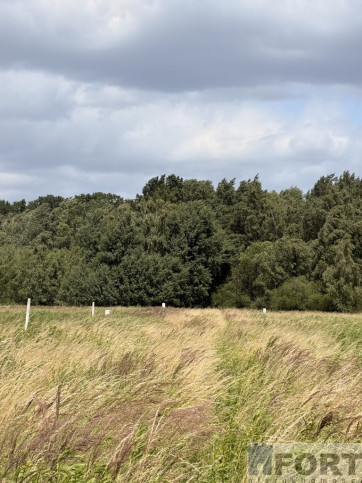 Działka Sprzedaż Niedźwiedź 5