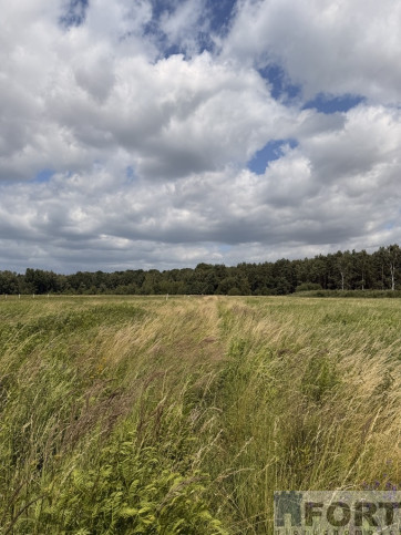 Działka Sprzedaż Niedźwiedź 6