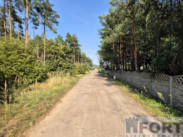 Działka Sprzedaż Nowe Czarnowo