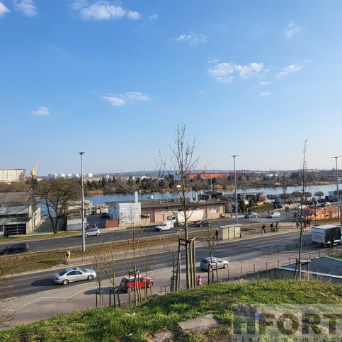 Mieszkanie Wynajem Szczecin Śródmieście Szarotki 26