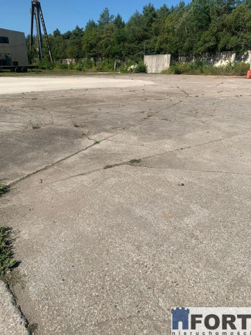 Działka Wynajem Goleniów 2