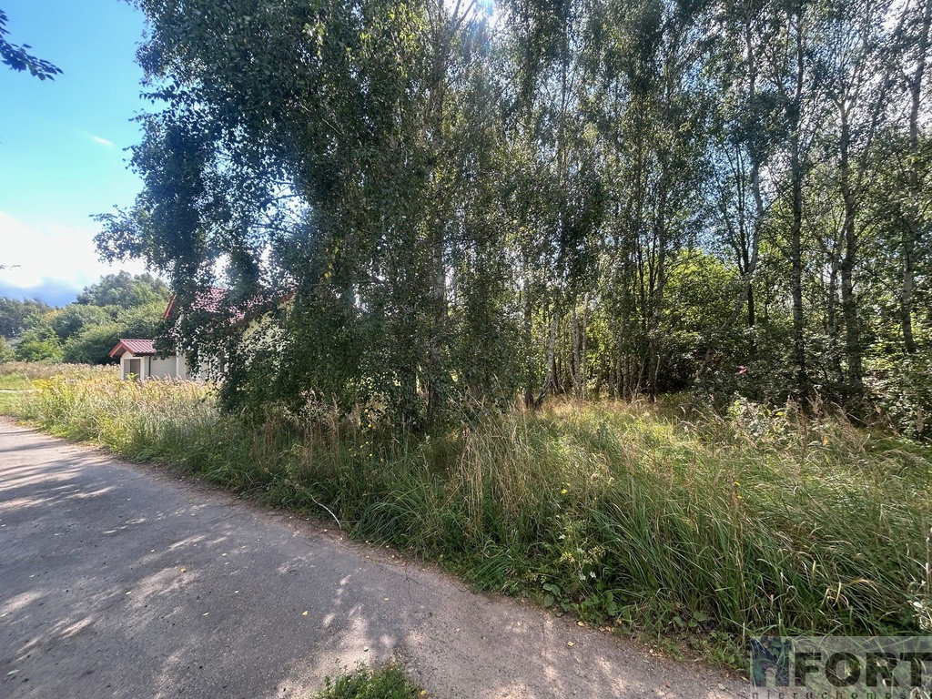 Działka Sprzedaż Dołuje
