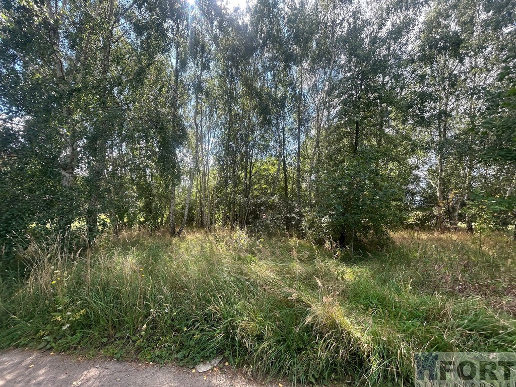 Działka Sprzedaż Dołuje