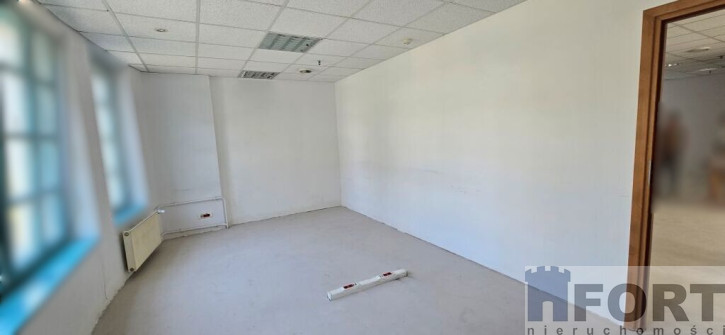 Lokal Wynajem Szczecin Stare Miasto 9