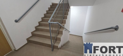 Lokal Wynajem Szczecin Stare Miasto