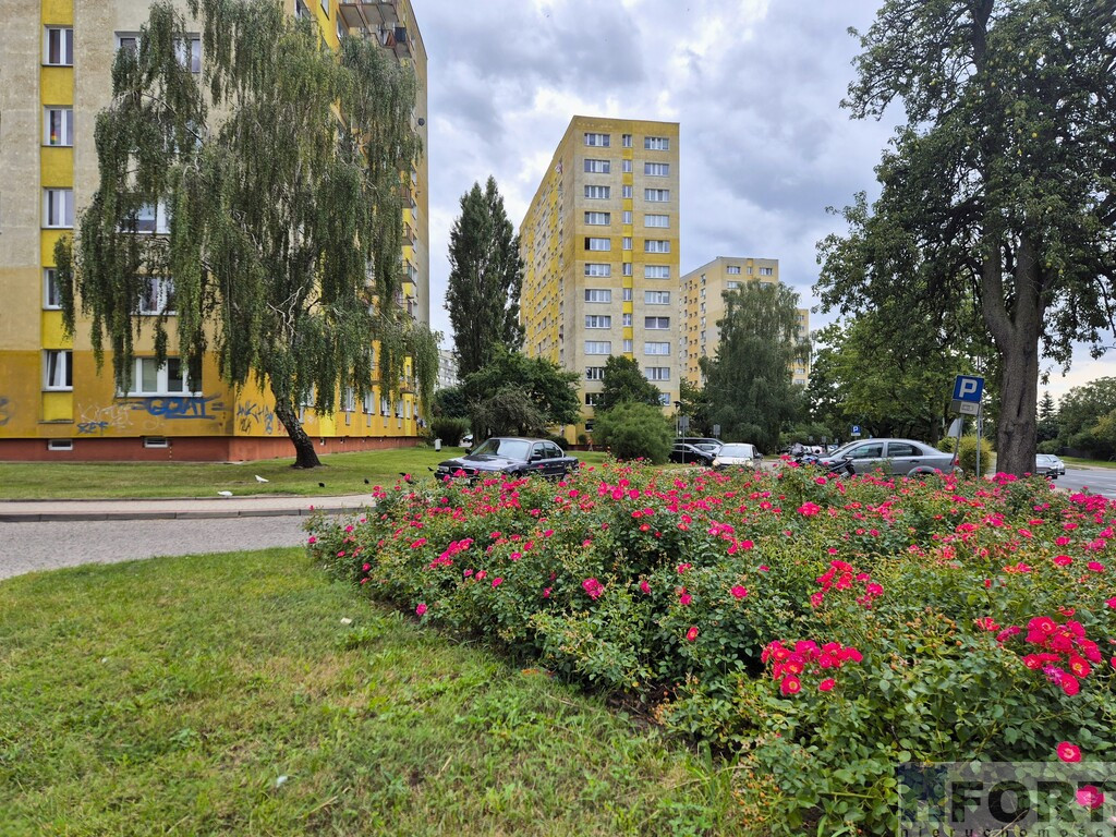 Mieszkanie Sprzedaż Szczecin Świerczewo Hieronima Derdowskiego