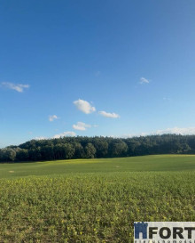 Działka Sprzedaż Buk