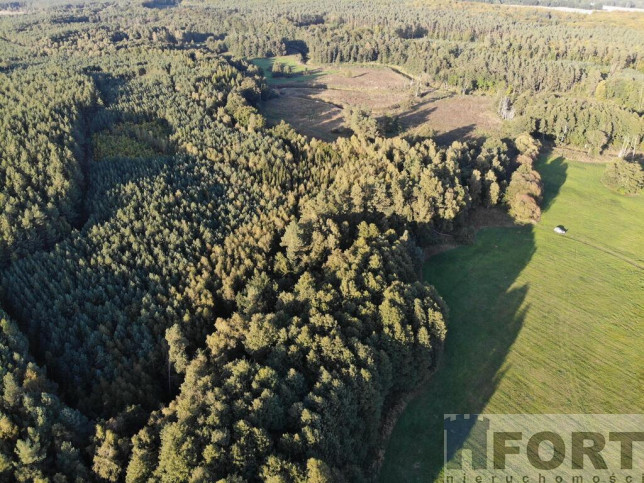 Działka Sprzedaż Goleniów 6