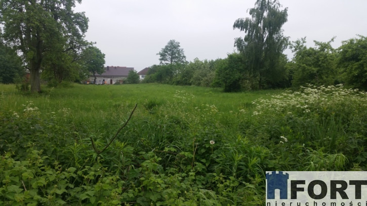 Działka Sprzedaż Binowo 5