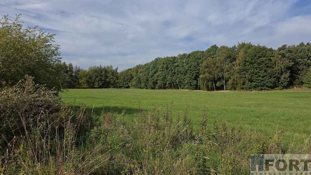 Działka Sprzedaż Przęsocin