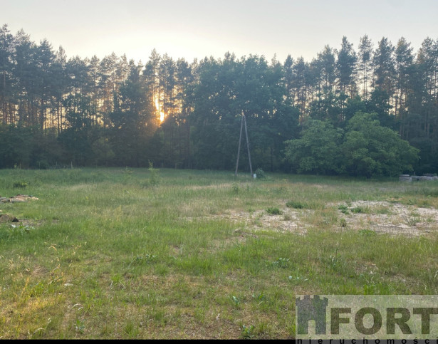 Działka Sprzedaż Trzebież 6
