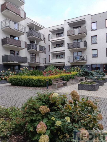 Mieszkanie Wynajem Szczecin Centrum &nbsp;arkowa 12
