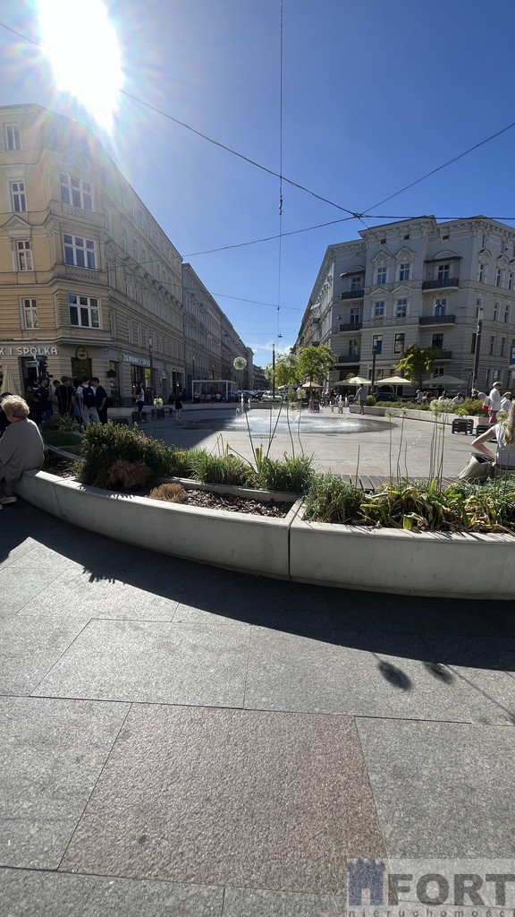 Lokal Wynajem Szczecin Centrum 1