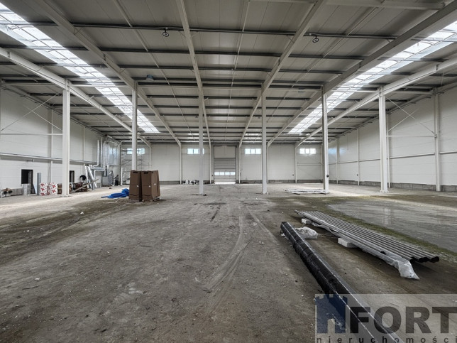 Magazyn Wynajem Skarbimierzyce 7