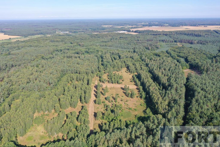 Działka Sprzedaż Krzywice 5
